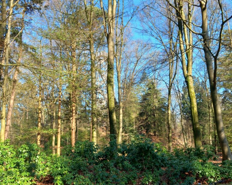 De luxe van verveling